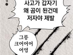 [청명이설] 사고가 갑자기 왜 곰이 된건데 저자야 제발