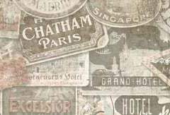 샤샤 D. 프림로즈