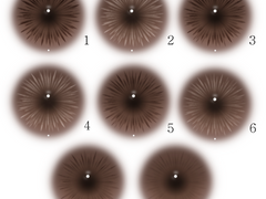 렌즈브러쉬 배포