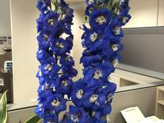 [직장 생활] 별난 머리와 자신감 부족과 근성