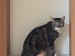 [결혼] 결혼을 해도 여자는 돈과 일과 배움이 있어야 한다