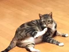 [결혼] 정신이 원하는 남자, 마음이 원하는 남자, 그리고 몸이 원하는 남자