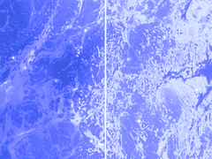 우리는 지식이란 이름의 망망대해를 떠돈다.