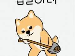 1. 당신은 절대 좋은 치과를 고를 수 없다