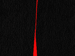 Territorial Behaviour