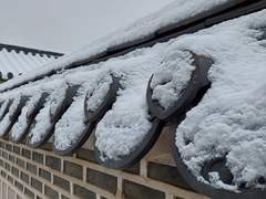 백사 선생과 꼬마 신랑 이야기 二.