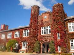 Tea 동아리 운영기 -1