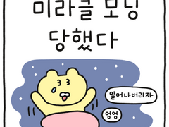 미라클 모닝 당했다