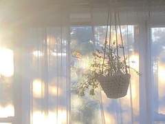 구원이라는 이름의 안정.