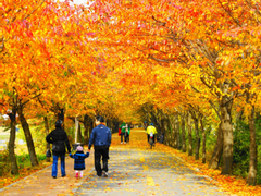 재건축 아파트+재개발 빌라 갖게 된 대기업 은퇴한 김 전무 이야기 8편