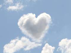 레오이즈 : Ego te amo (너를 사랑해)