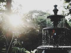 [제우아스] 힘, 대가, 그리고 재화