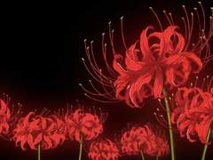 혈화(피 속에서 피어난 꽃)