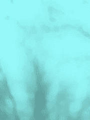 드림 설정 모음