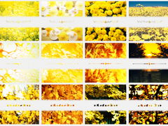 노란색 인트로, 핸드아웃 판매