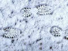 [고죠 사토루] 눈 발자국