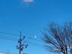 [신카이] 이상의 모습으로