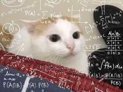 글/그림 EBOOK 백업