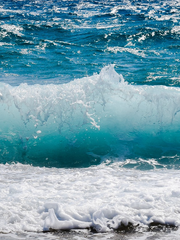 고백 (네리로즈 드림) 