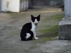 괴짜의 괴짜의 괴짜의