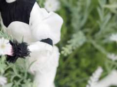 THU 과거편 Epilog