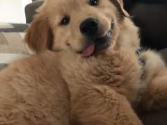 소꿉친구 박건욱…