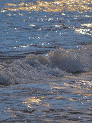 합작 작품 모음