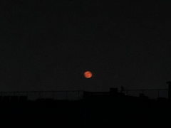 화주 수색대(외전): 명왕병원 안내문