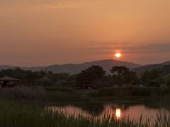 이걸 혼자 남겨두고 가네