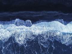 이르지만 느린 소개를, 유신이야.