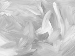 黑과 白의 정의