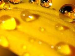 울루카 바크티 0차