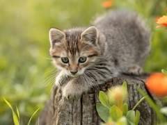 1부- 1화 < 용월 씀 >