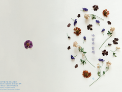 [요한예서] 바람과 함께 - 上