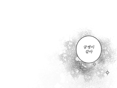 오스틴 시나몬 커플게임로그