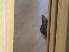 14. 공부와 공부 감옥