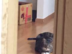 15. 니 잘못이 아니야