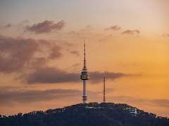 무(戊)일간의 계절별 용신 찾기