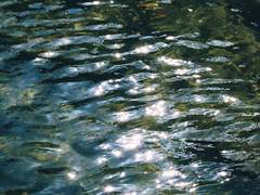 여름에 태양 아래 모든 기억을