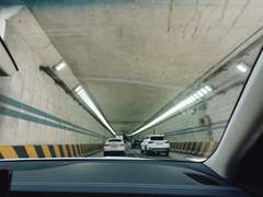 [D-341] 「생명에게 미움 받고 있어」