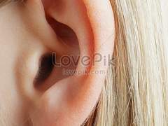 귀와 입의 개수의 이유