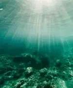 7대 죄악 : 나태