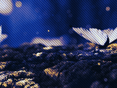 Great minds have purposes, others have wishes.