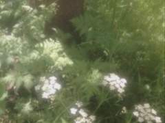 내 청춘의 끝자락을 너에게 줄게