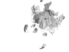 굿노트 스티커 무료배포 [ 천사는 고양이의 모습을 하고 ]