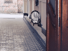 데이미언 트루디-고등부 알바2