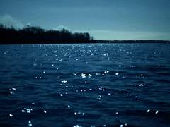 유영하듯 떠오른 그날 그 밤처럼