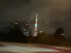 도쿄의 밤은 너무 밝았다.