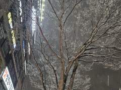 원래 사랑이 다 이긴대