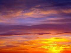 그날따라 당신이 유독 눈에 띄었어